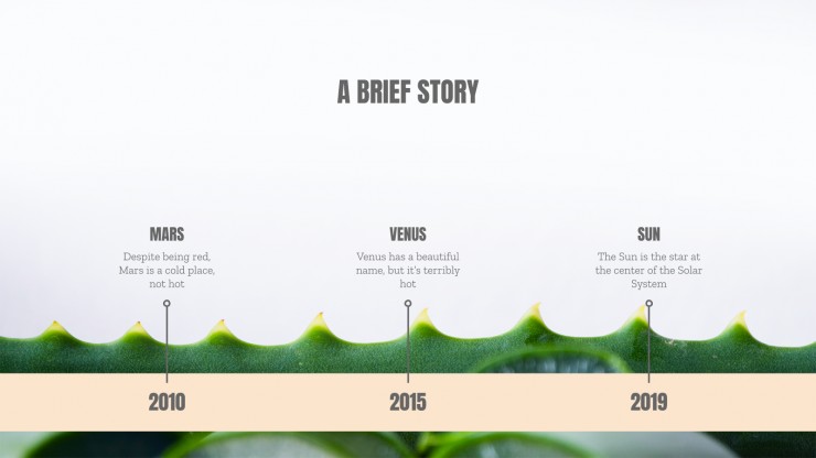 Plastic Surgery Center presentation template