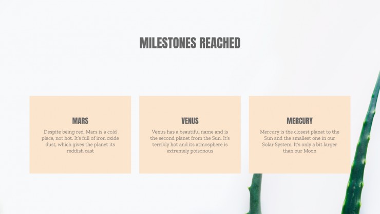Plastic Surgery Center presentation template