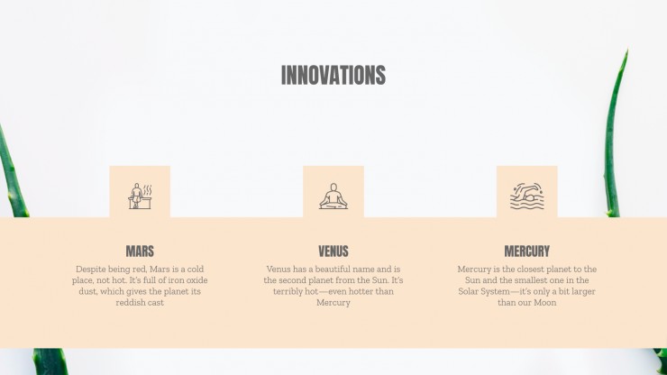 Plastic Surgery Center presentation template