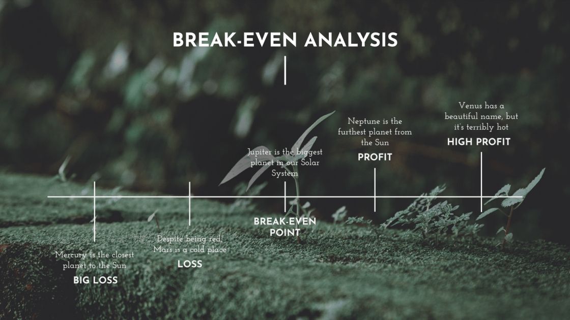 Free nonprofit business plan template doc picture