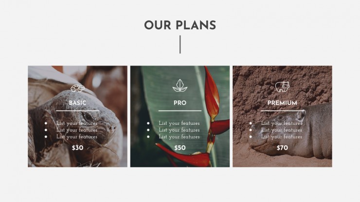 Plantilla de presentación Plan de negocios para ONG