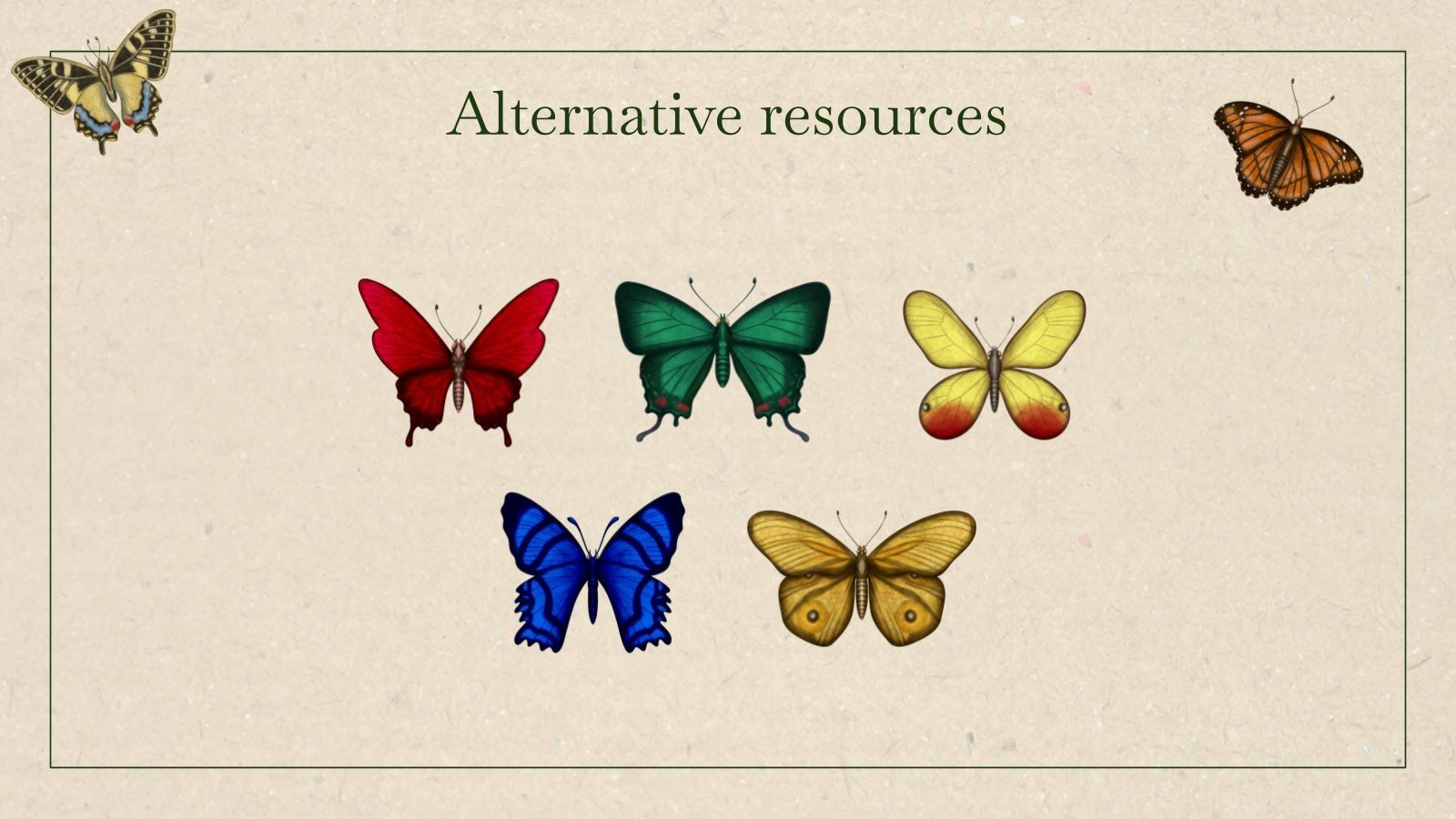 Schmetterling Anatomie-Workshop | Google Slides & PPT Vorlage