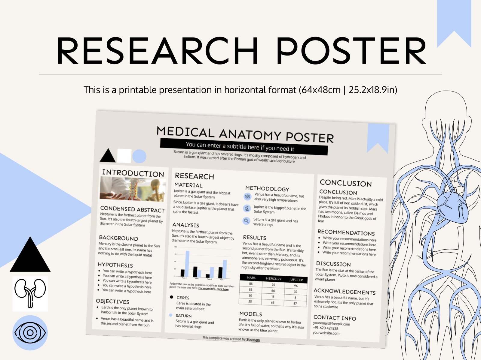 Poster zur medizinischen Anatomie Präsentationsvorlage