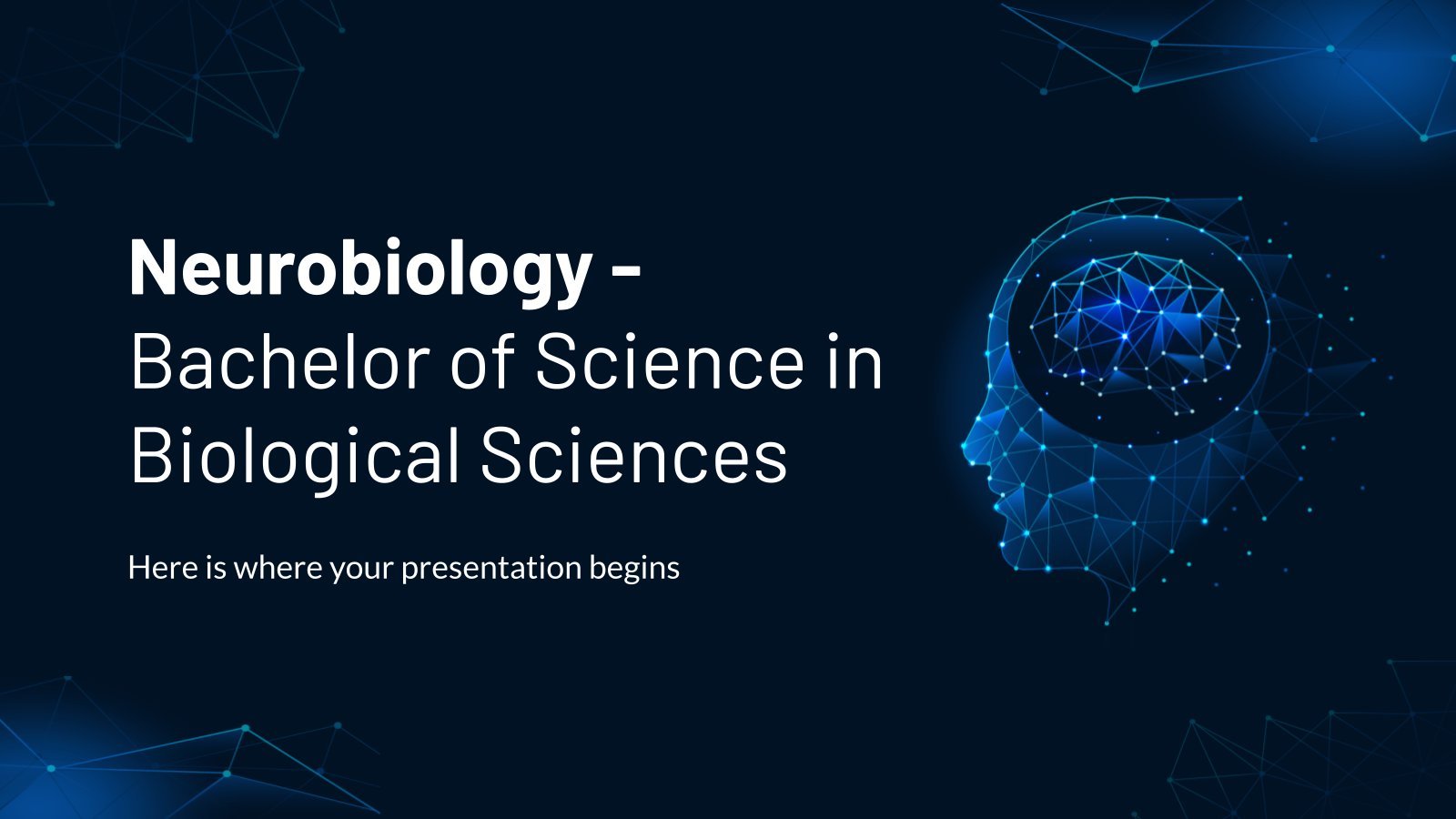 Neurobiology - Bachelor of Science in Biological Sciences presentation template 