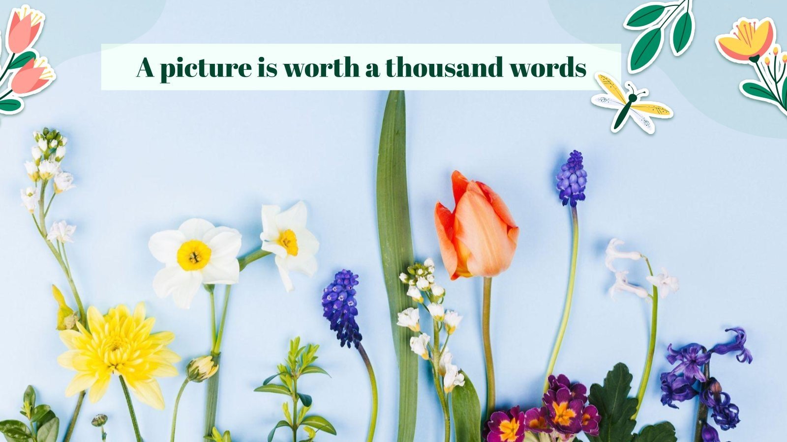 Spring Season Theme Presentation