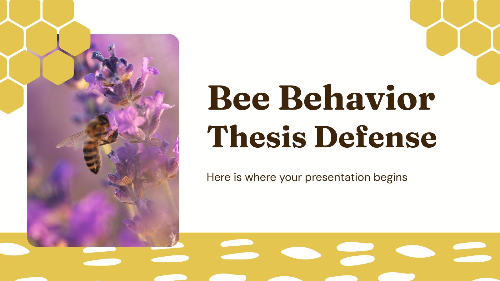 Bee Behavior Thesis Defense presentation template 