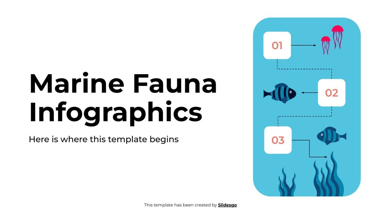 Marine Fauna Infographics Template