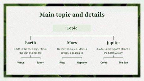 Morphophysiology Workshop presentation template 