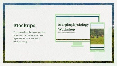 Morphophysiologie-Workshop Präsentationsvorlage