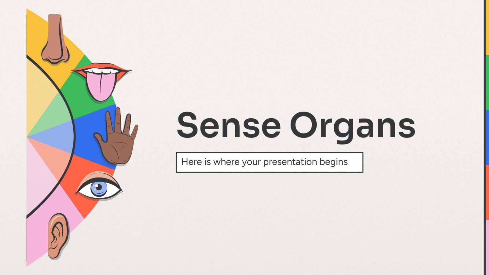 Sense Organs presentation template 