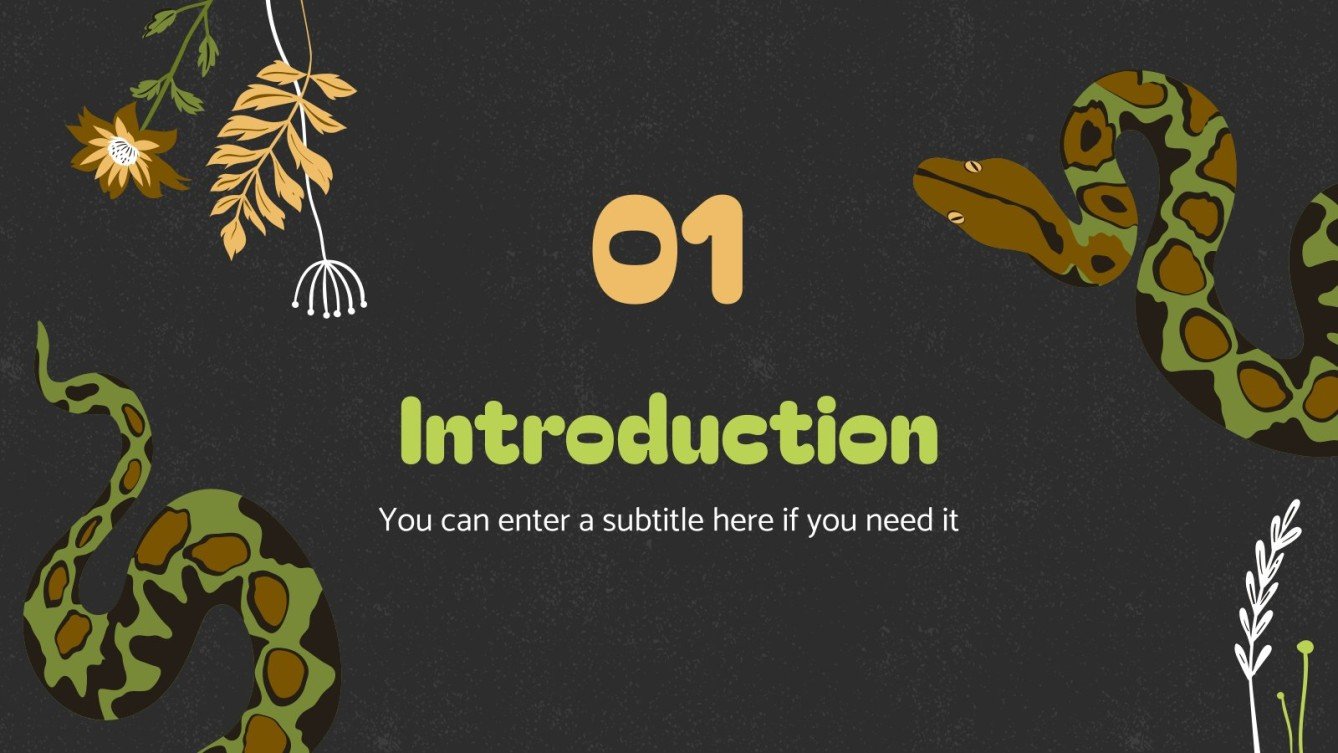 Dangerous Snakes: Python Presentation