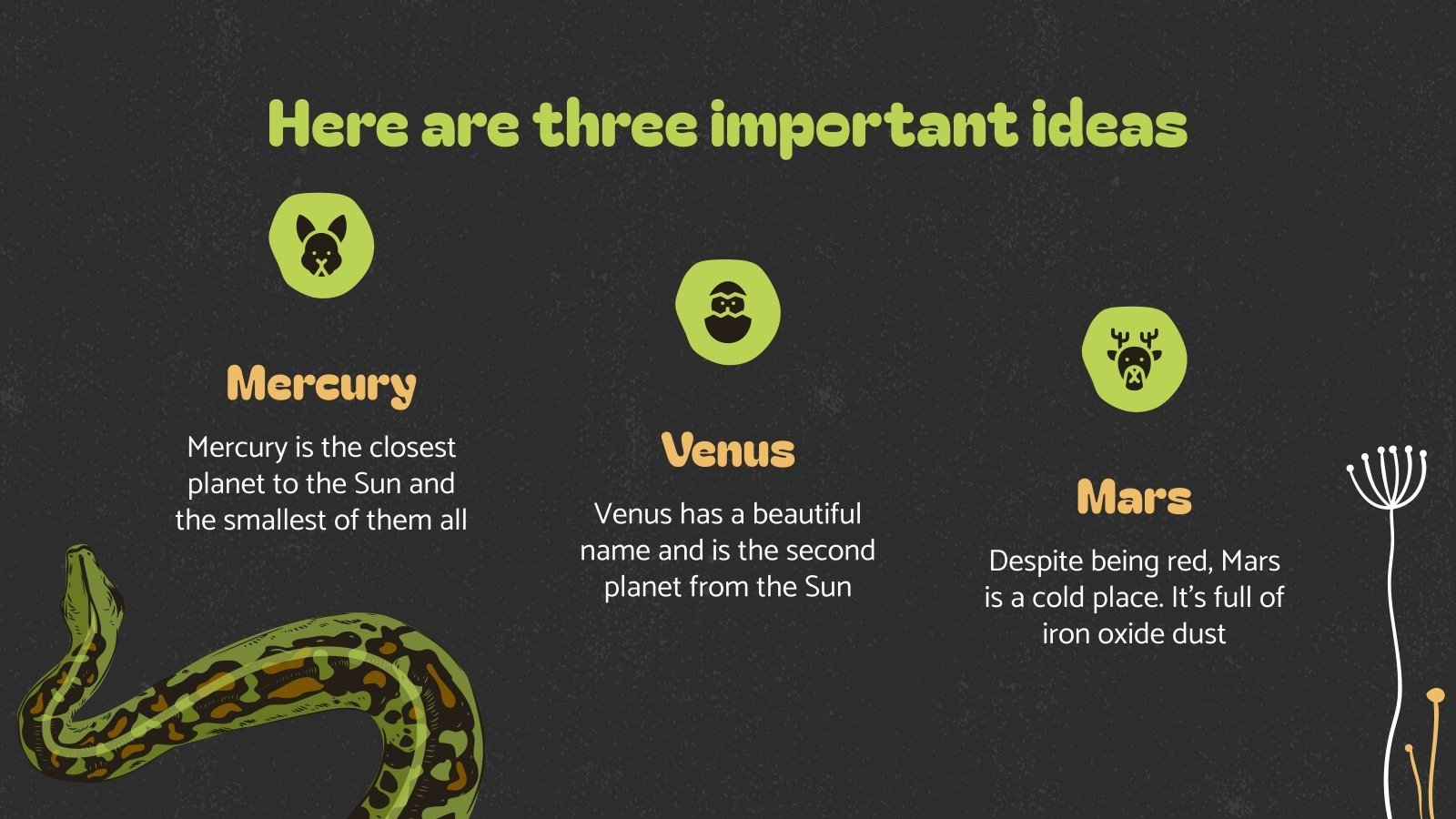 Dangerous Snakes: Python Presentation