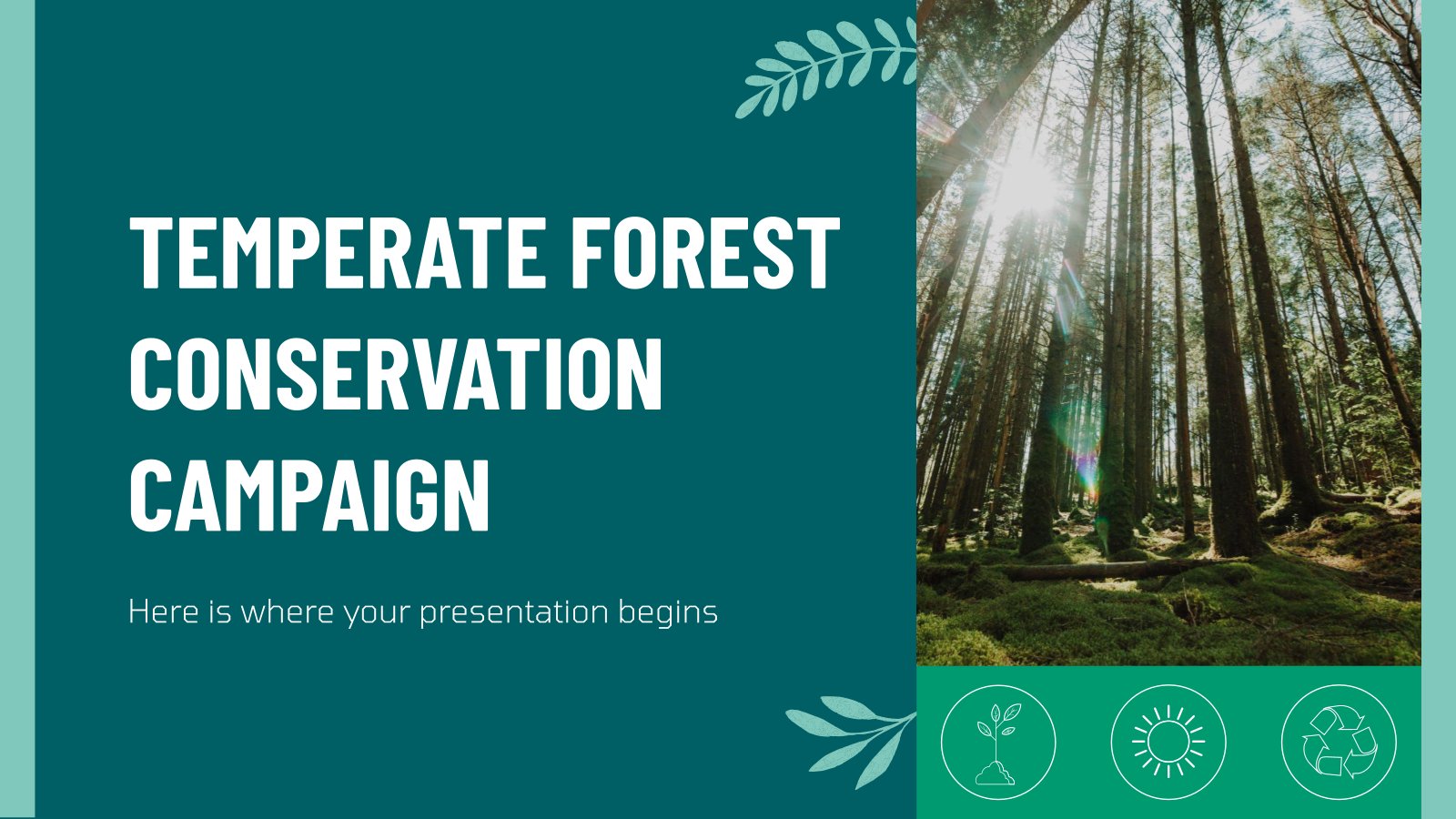 Temperate Forest Conservation Campaign presentation template 