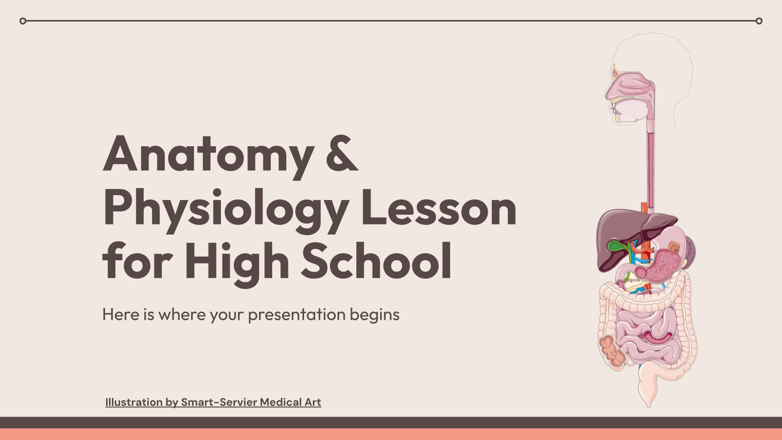 Anatomy & Physiology Lesson for high School presentation template 