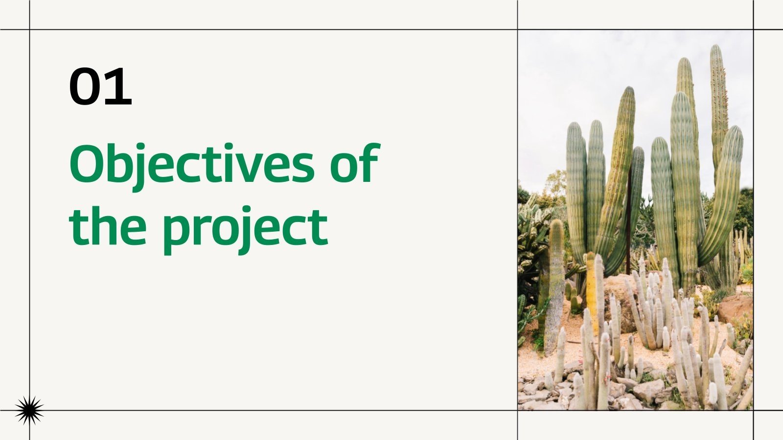 Caatinga Biome Conservation Project Proposal Presentation