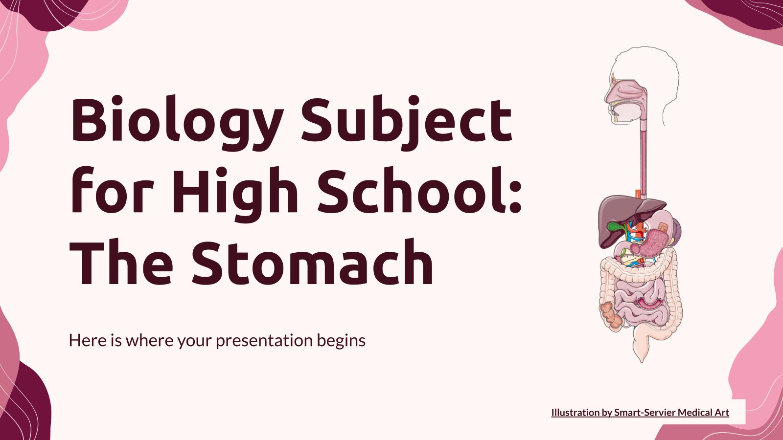 Biology Subject for High School: The Stomach presentation template 