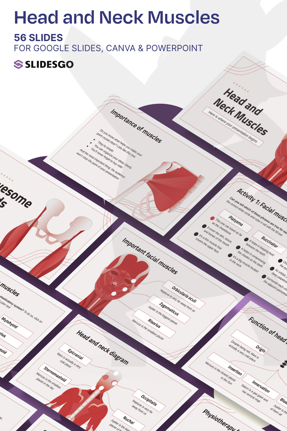 Head and Neck Muscles Presentation
