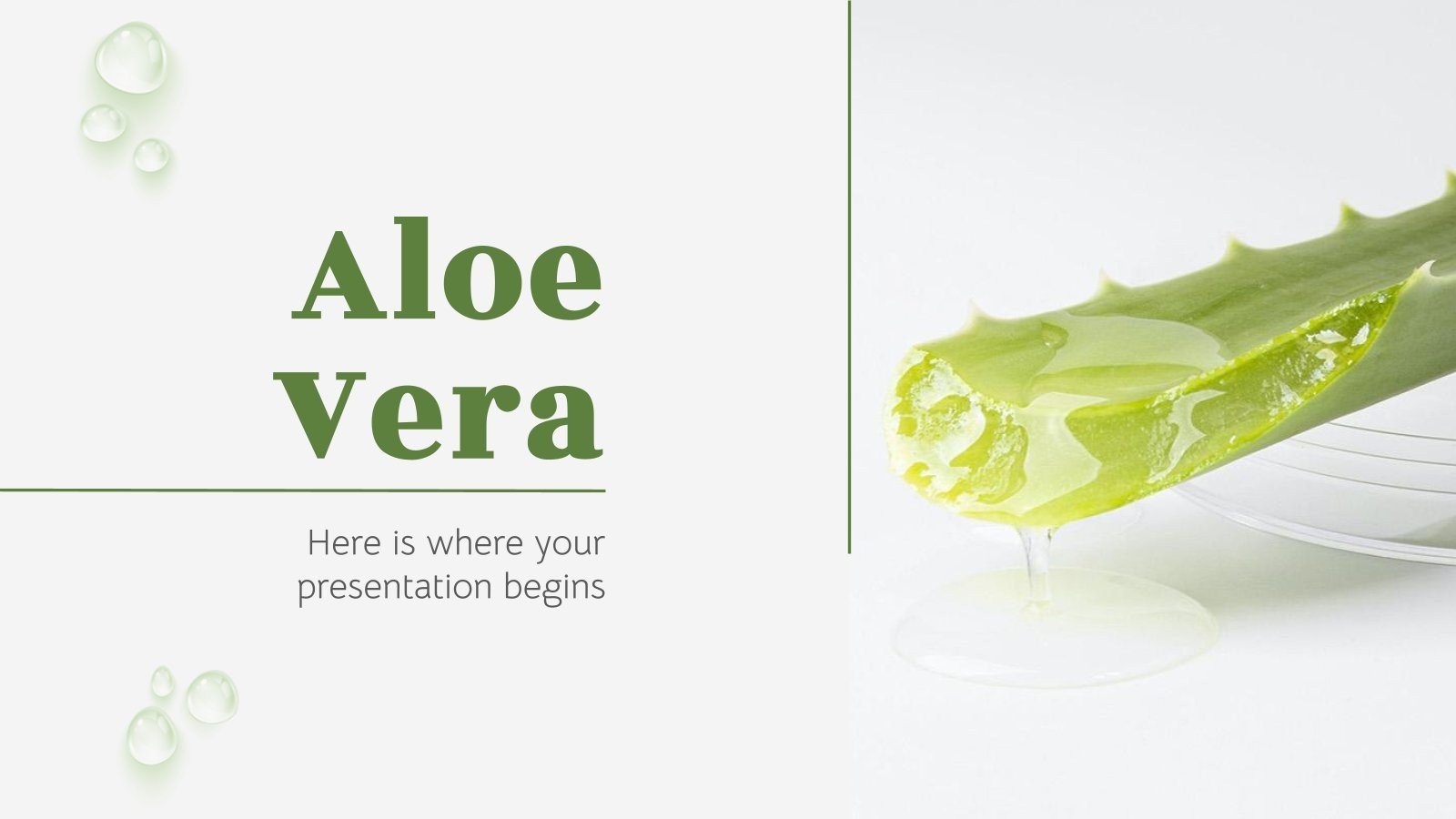 Presentación Aloe vera