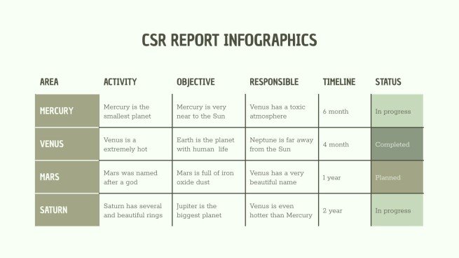 CSR Report Infographics Presentation