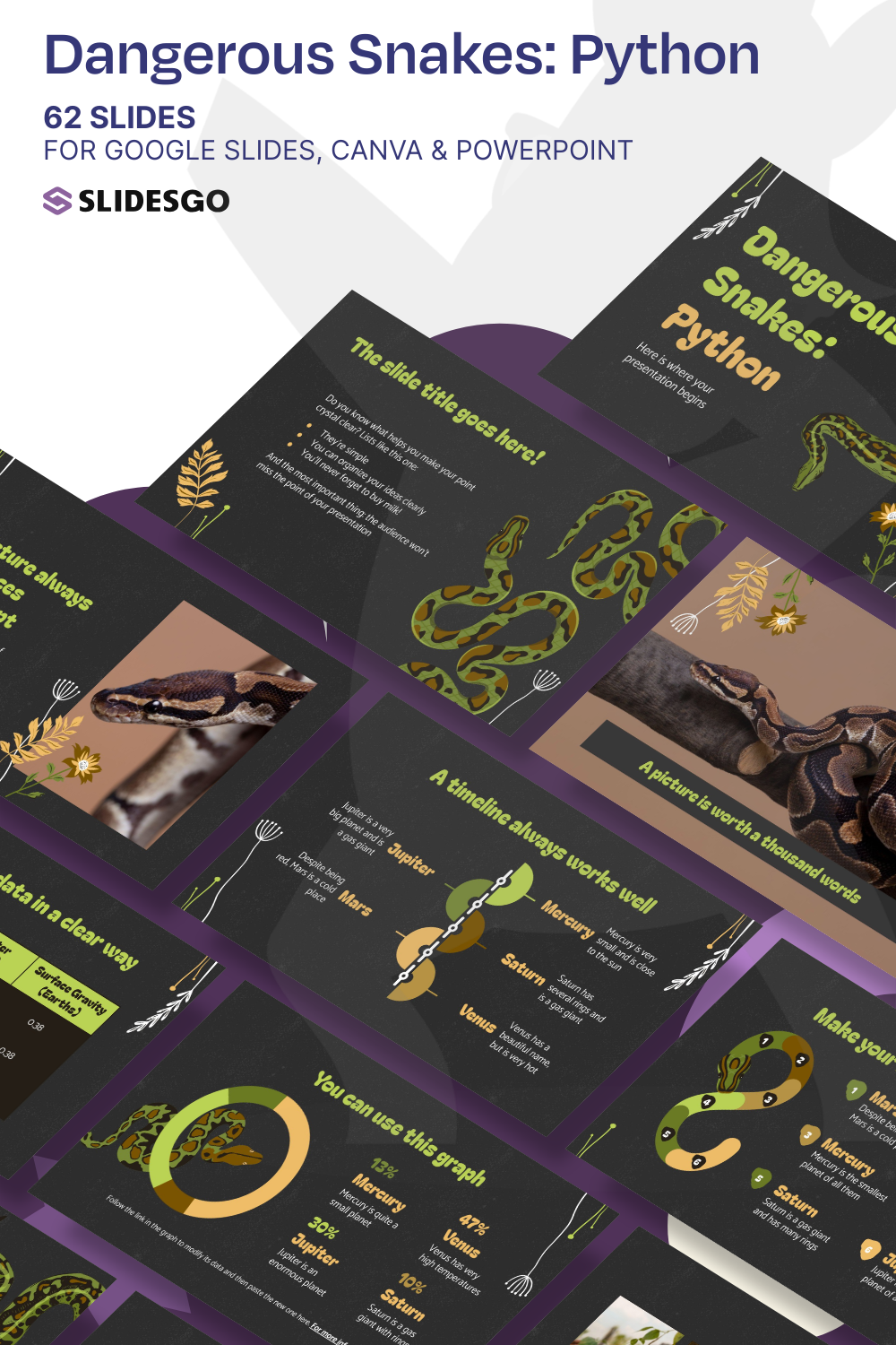 Dangerous Snakes: Python Presentation