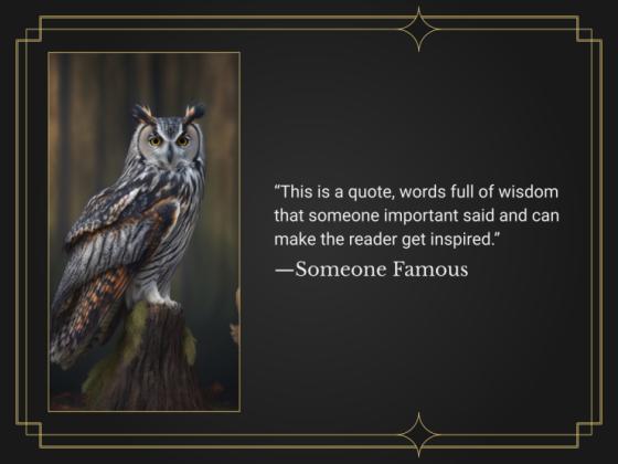 Ornithology Workshop: Owls presentation template 