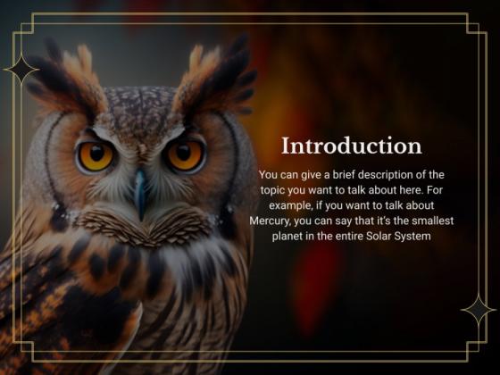 Ornithology Workshop: Owls presentation template 
