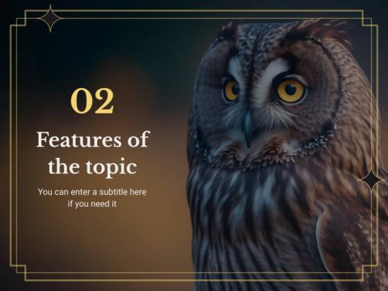 Ornithology Workshop: Owls presentation template 