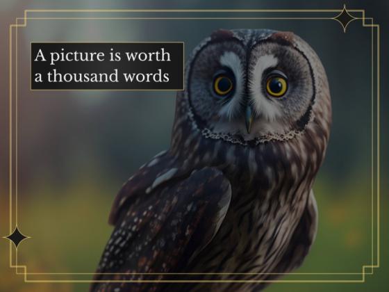 Ornithology Workshop: Owls presentation template 