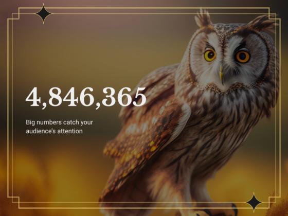 Ornithology Workshop: Owls presentation template 