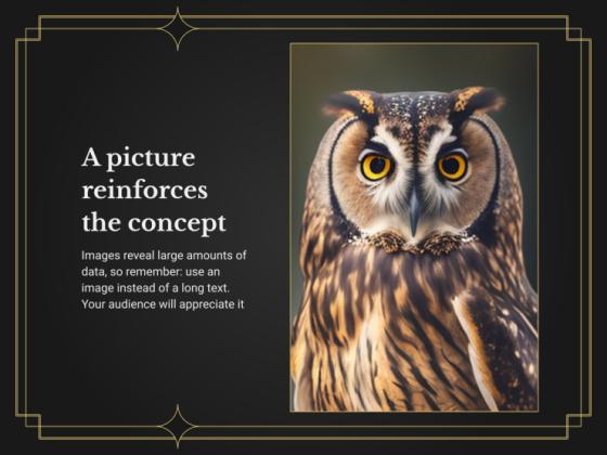 Ornithology Workshop: Owls presentation template 