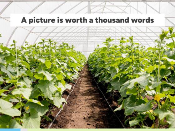 Irrigation Systems Workshop presentation template 