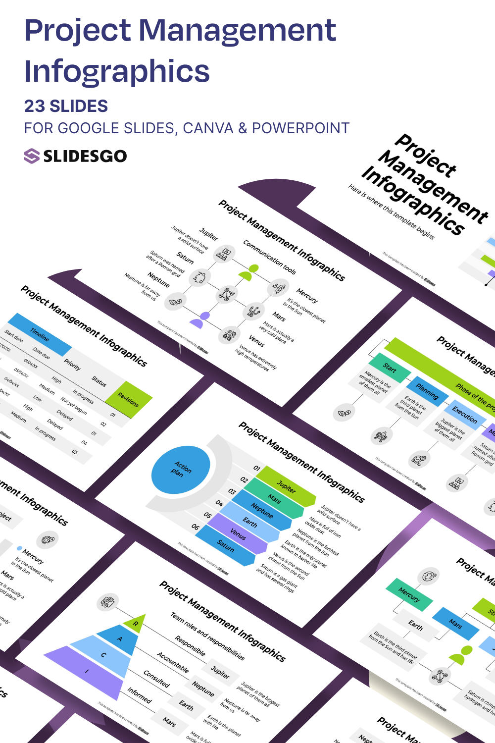 Project Management Infographics Template