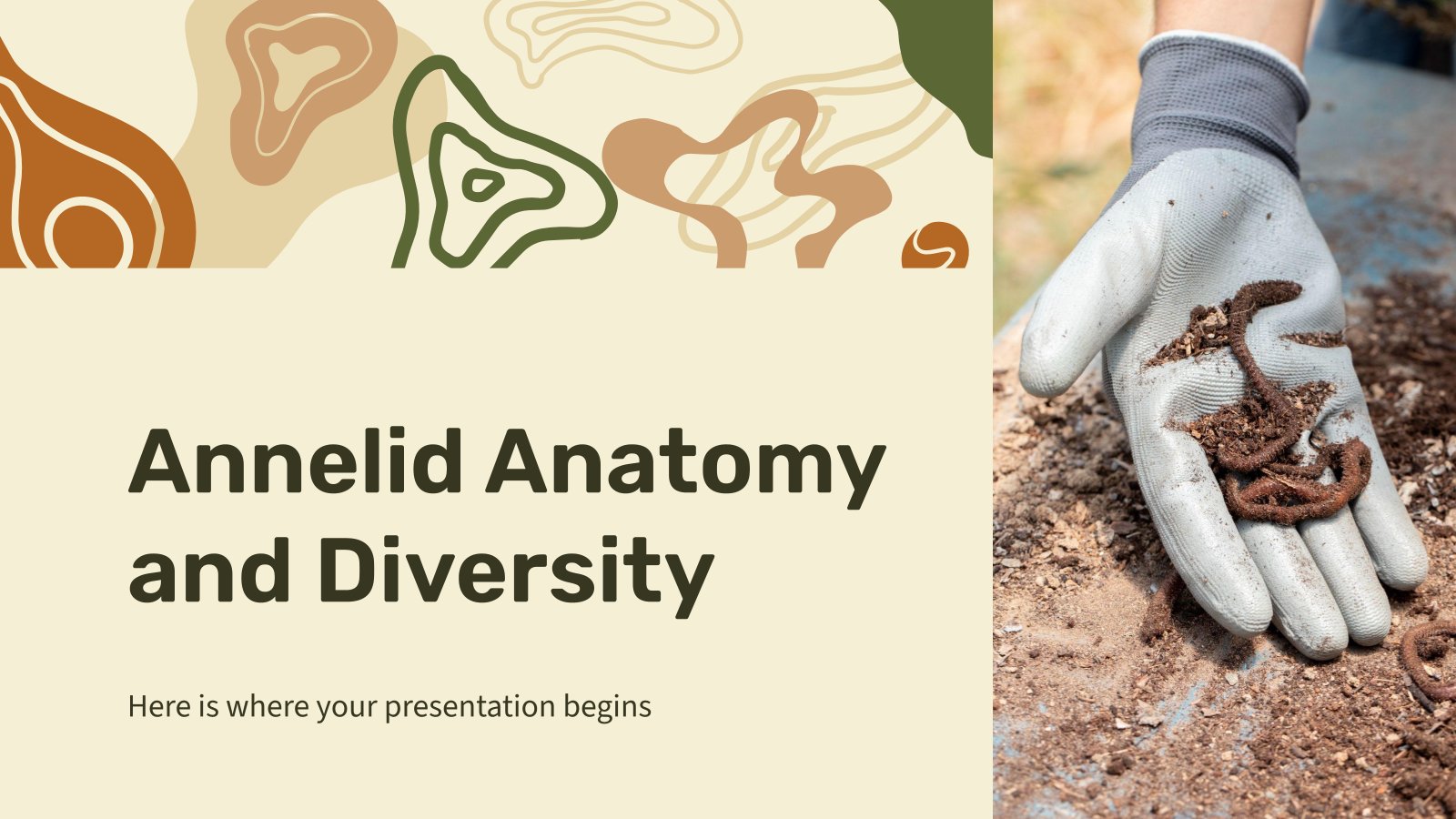 Annelid Anatomy and Diversity presentation template 