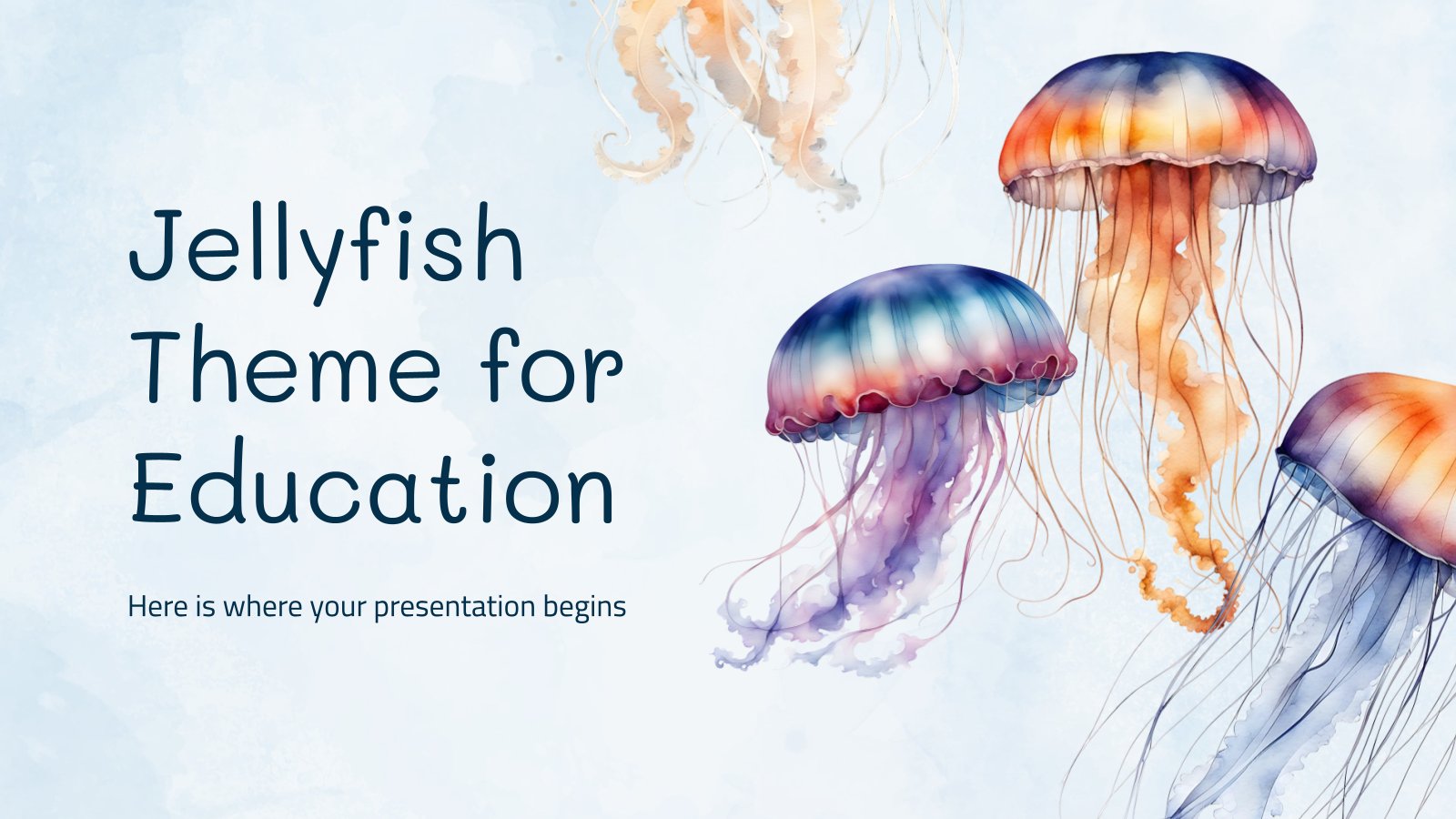 Jellyfish Theme for Education presentation template 