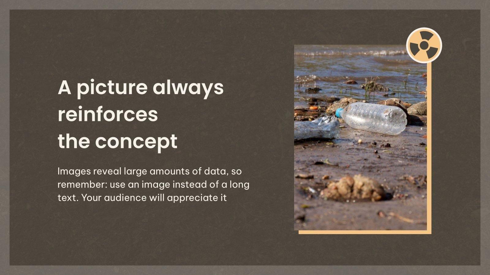 Soil Pollution Effects Thesis Defense Presentation