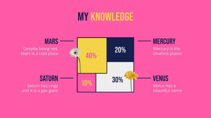 Floral Windows Portfolio presentation template