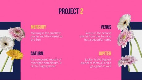 Floral Windows Portfolio presentation template