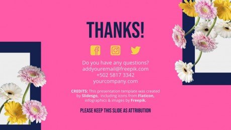 Floral Windows Portfolio presentation template
