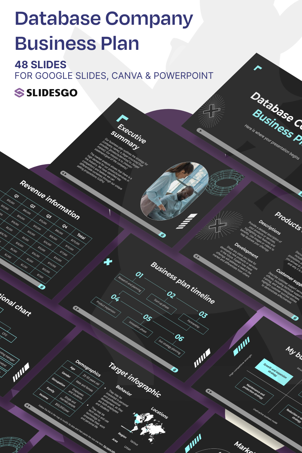 Database Company Business Plan Presentation