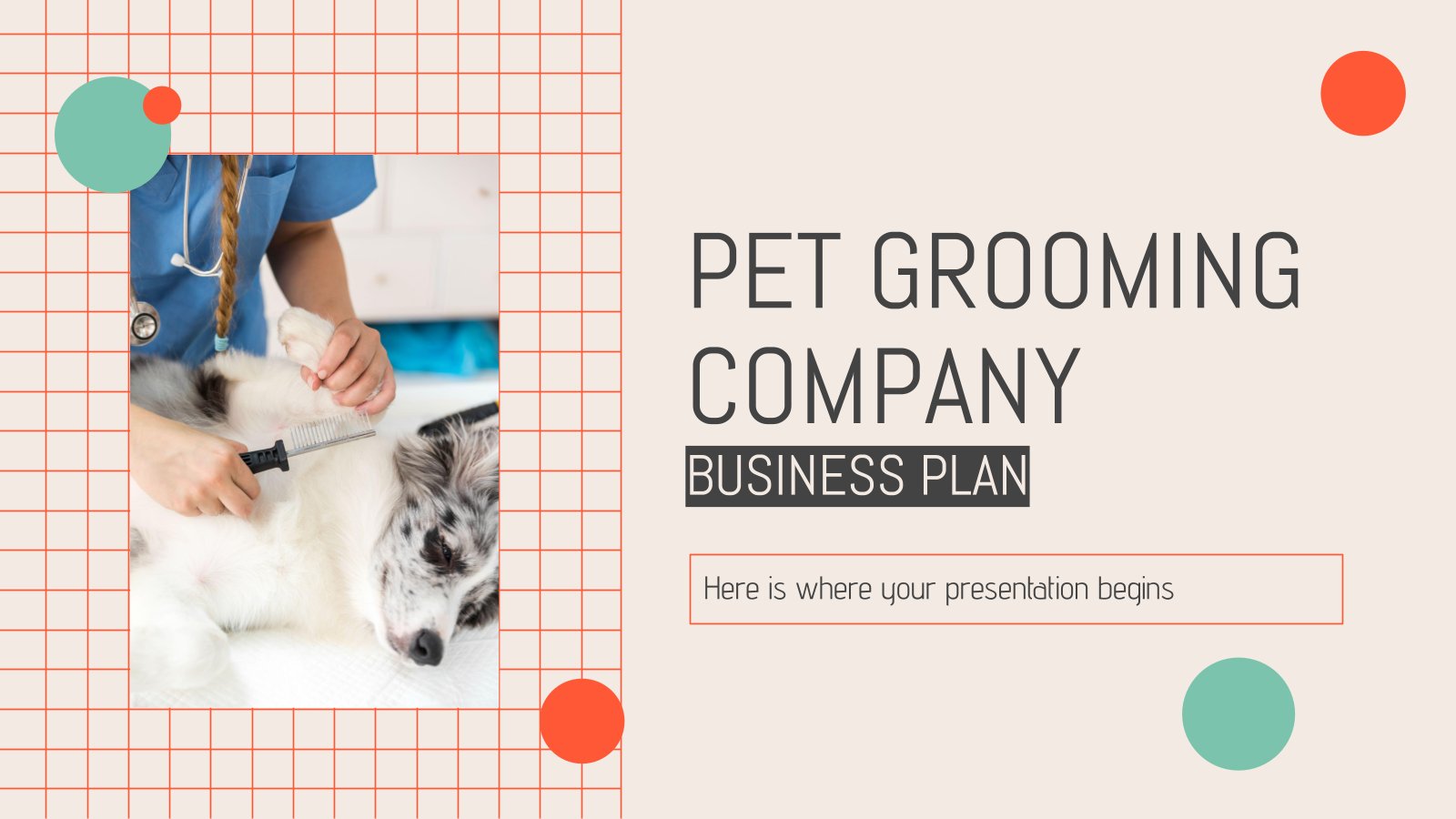 Pet Grooming Company Business Plan presentation template 