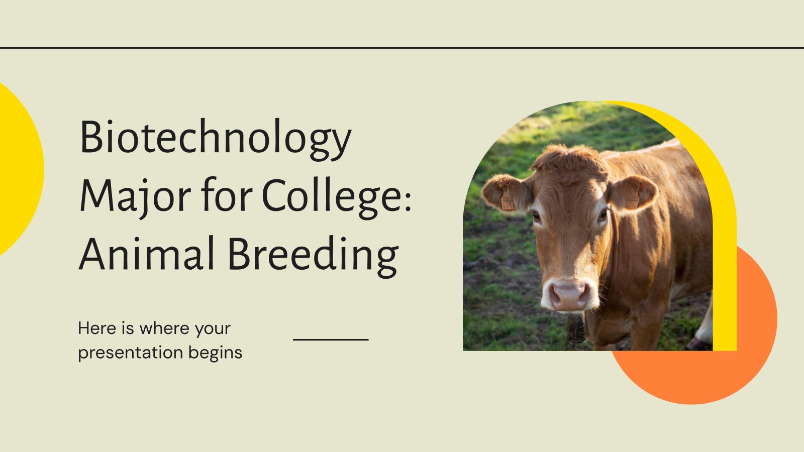 Biotechnology Major for College: Animal Breeding presentation template 