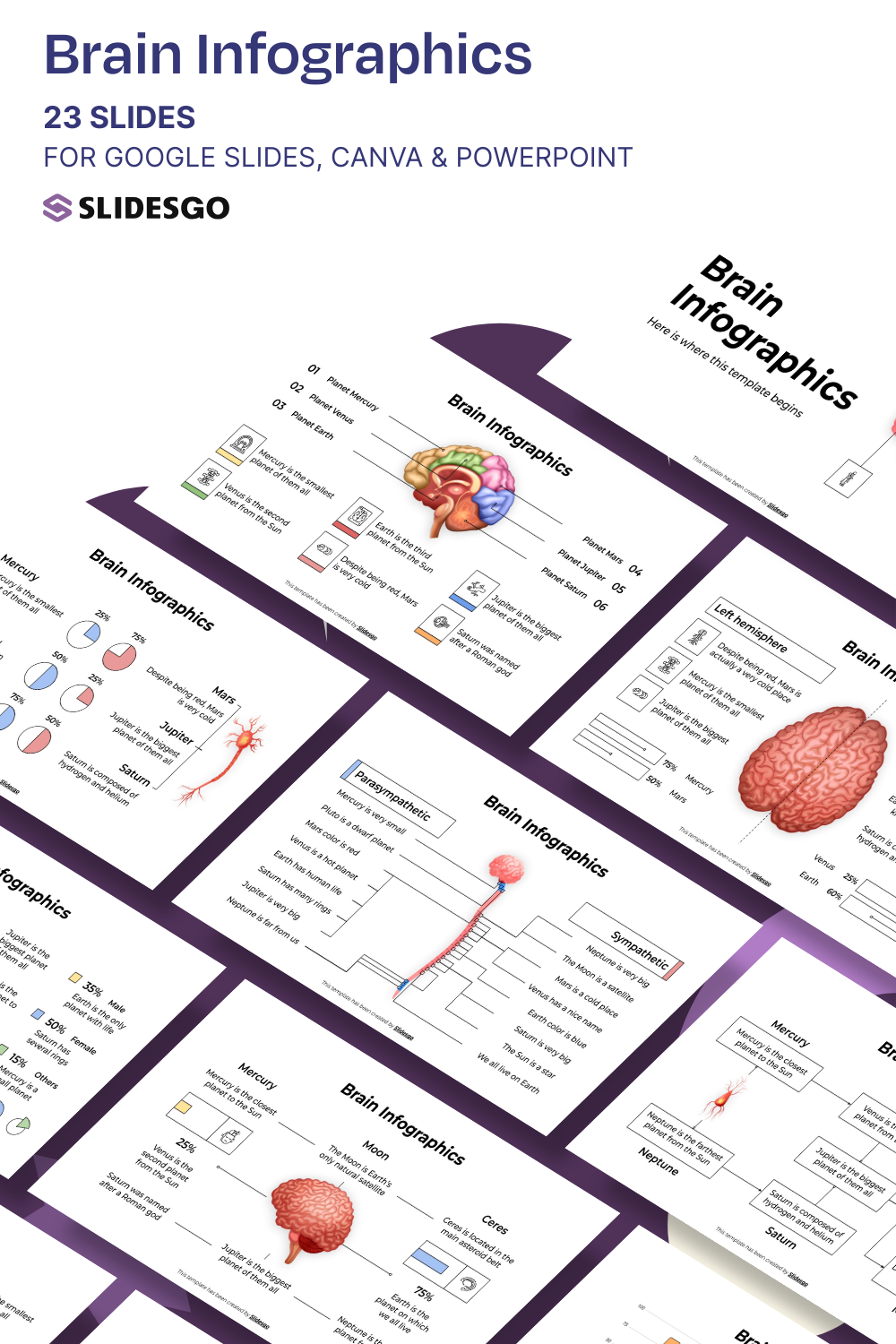 Brain Infographics Template