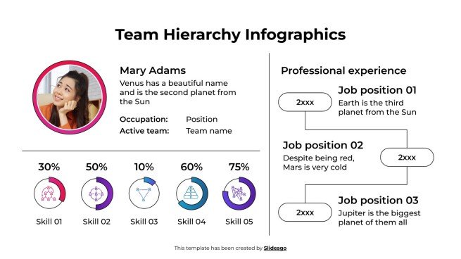 Team Hierarchy Inforgraphics Template
