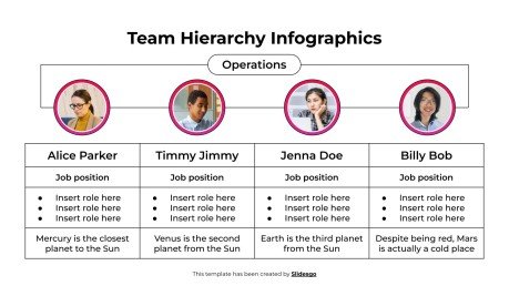 Team Hierarchy Inforgraphics Template