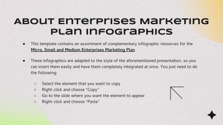 Micro, Small & Medium Enterprise Marketing Plan Infographics