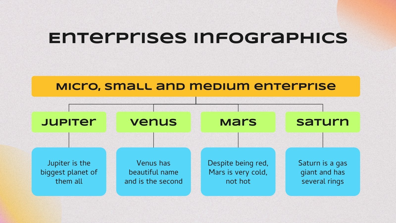 Micro, Small & Medium Enterprise Marketing Plan Infographics