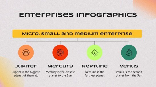 Micro, Small & Medium Enterprise Marketing Plan Infographics
