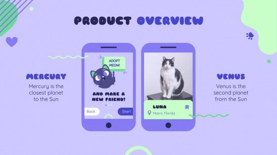 Adopt a Cat App presentation template 