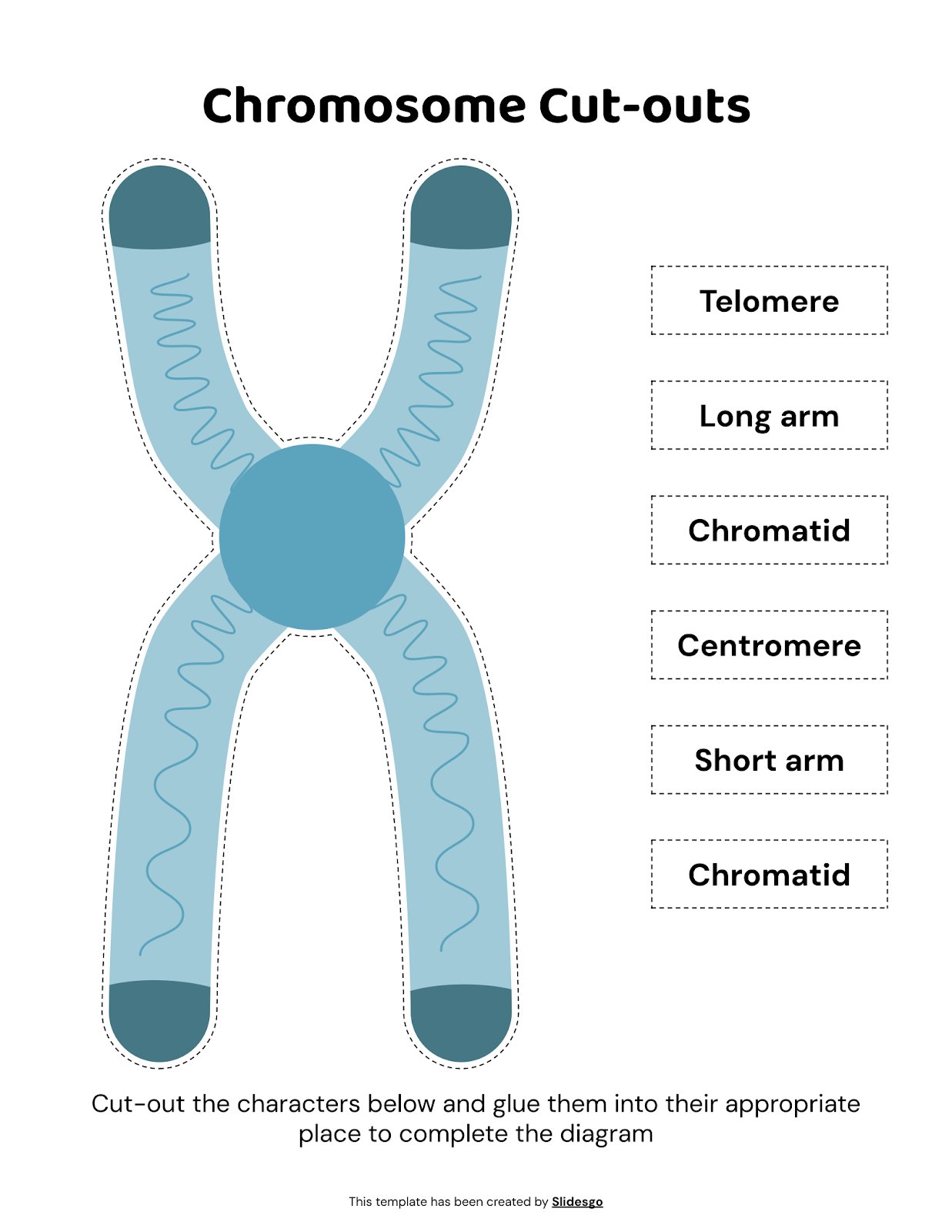 Chromosome Cut-outs presentation template 