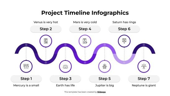 Beautiful Graphics Timeline Project Timeline Infographics Template